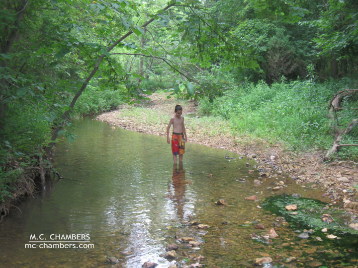 a child wading in a creek
