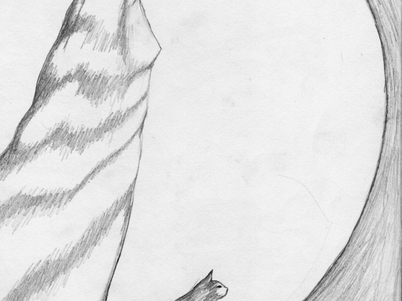 a momentary respite…