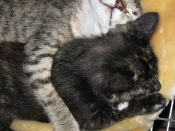 a momentary respite…