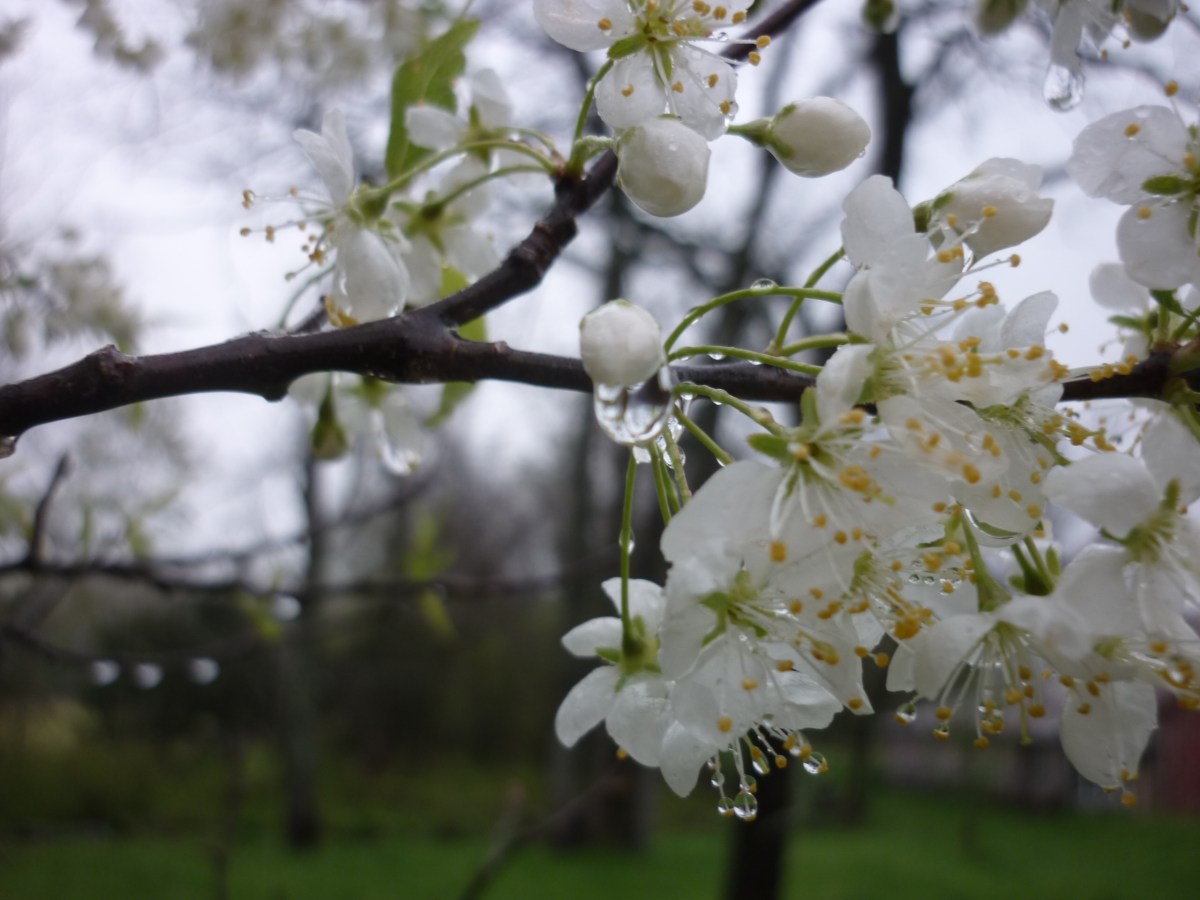 a momentary respite…